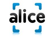 Alice Coupon Codes April 2023