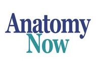 Anatomynow 20% Off Coupon Codes May 2024