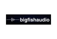 Big Fish Audio Coupon Codes June 2023