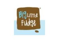 Big Little Fudge Coupon Codes February 2023