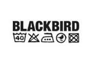 Blackbird Coupon Codes January 2022