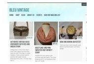 Bleuvintage Coupon Codes May 2024
