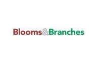 Blooms & Branches Coupon Codes April 2024
