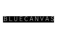 Bluecanvas Coupon Codes December 2022