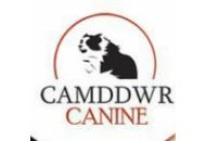 Camddwr Canine Uk 10% Off Coupon Codes May 2024