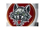 Chicago Wolves Store Coupon Codes April 2024