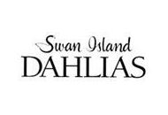 Swan Island Dahlias Coupon Codes April 2024