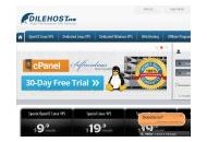 Dilehost 50% Off Coupon Codes May 2024