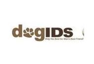 Dogids Coupon Codes June 2023