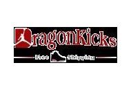 Dragonkicks Coupon Codes April 2024