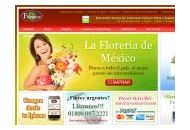 Fiorence Florerias Coupon Codes May 2024