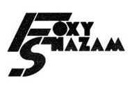 Foxyshazam Coupon Codes April 2024