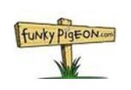 Funkypegeon Coupon Codes August 2022