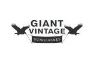 Giantvintage Coupon Codes July 2022