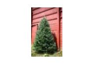 Greenvalleychristmastrees 15% Off Coupon Codes May 2024