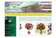 Hessbrothersflorist 10% Off Coupon Codes May 2024