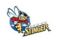 Honeystinger Coupon Codes August 2022