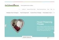 Howtopreserveflowers 10% Off Coupon Codes April 2024