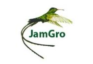 Jamaicangrocerystore 50% Off Coupon Codes May 2024
