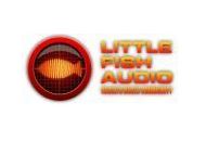 Little Fish Audio Coupon Codes April 2024