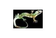 Lizard King Arts Coupon Codes May 2024