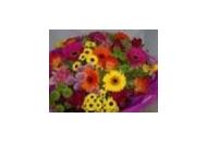 Mad Flowers Coupon Codes April 2024