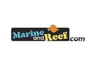 Marineandreef Coupon Codes December 2022