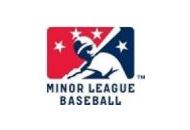 Minor League Baseball Coupon Codes December 2023