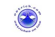 Ostriches On Line Coupon Codes May 2022
