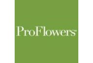Proflowers Coupon Codes February 2023