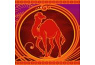 Redcamel 15% Off Coupon Codes May 2024