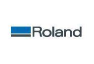 Roland Dga 10% Off Coupon Codes May 2024