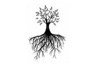 Root Naturally Coupon Codes May 2024