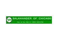 Salamander Shoes Of Chicago Coupon Codes April 2024