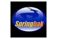 Springbak Coupon Codes July 2022