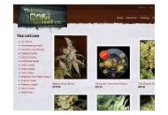 Thedamseedco Coupon Codes April 2024