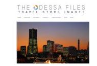 Theodessafiles Uk 10% Off Coupon Codes May 2024