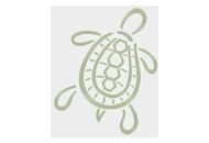 Turtlemat Uk Coupon Codes April 2024