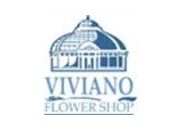 Viviano Flower Shop 25% Off Coupon Codes May 2024